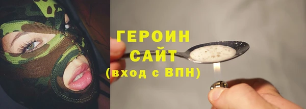 spice Богородицк